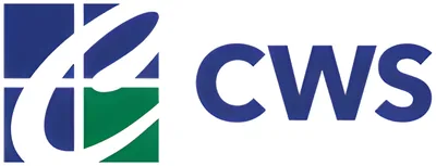 Custom Window Systems